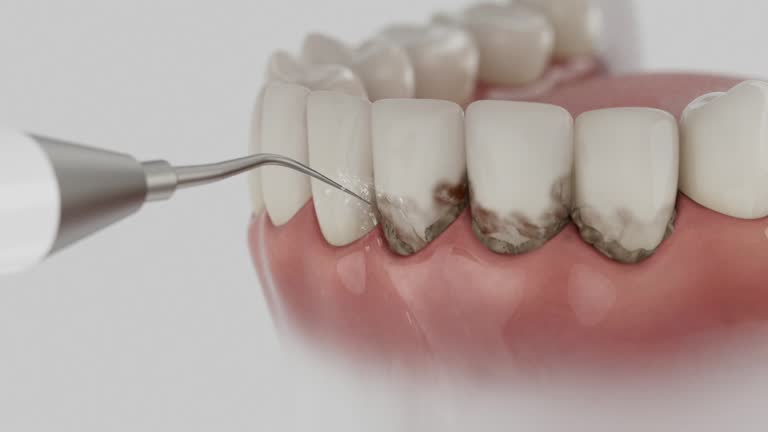 Reliable Dental contractor in Air Force Academy, CO by Dentist Open Now
